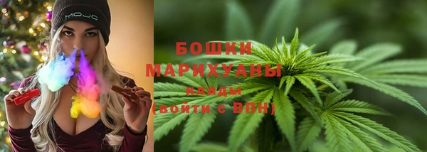 бошки Снежинск