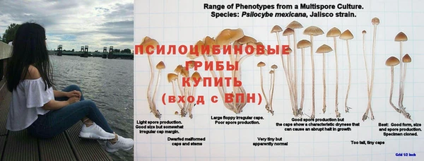 соль курить ск Балабаново