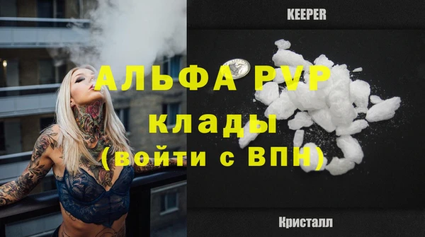 mdpv Бородино